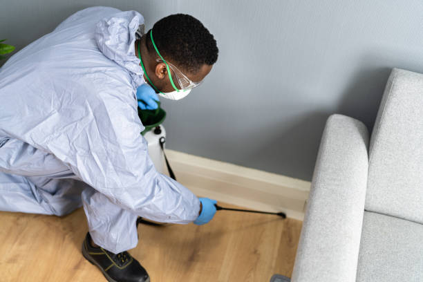 Best Pest Control for Multi-Family Homes  in Stafford Springs, CT